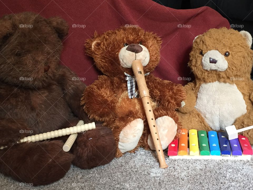 Bear band. What teddy does when you are not looking