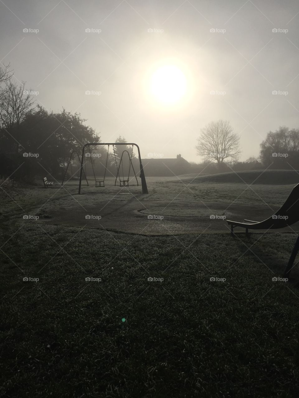 Morning sunshine on a frosty park