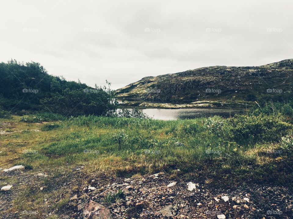 River landscapes in Russian tundra 