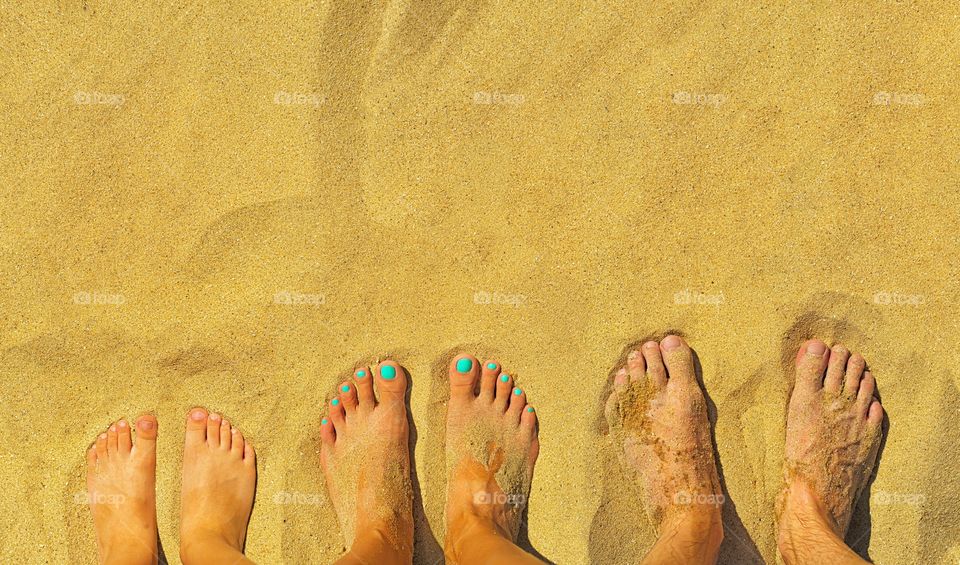 Family feet on the sand on the beach