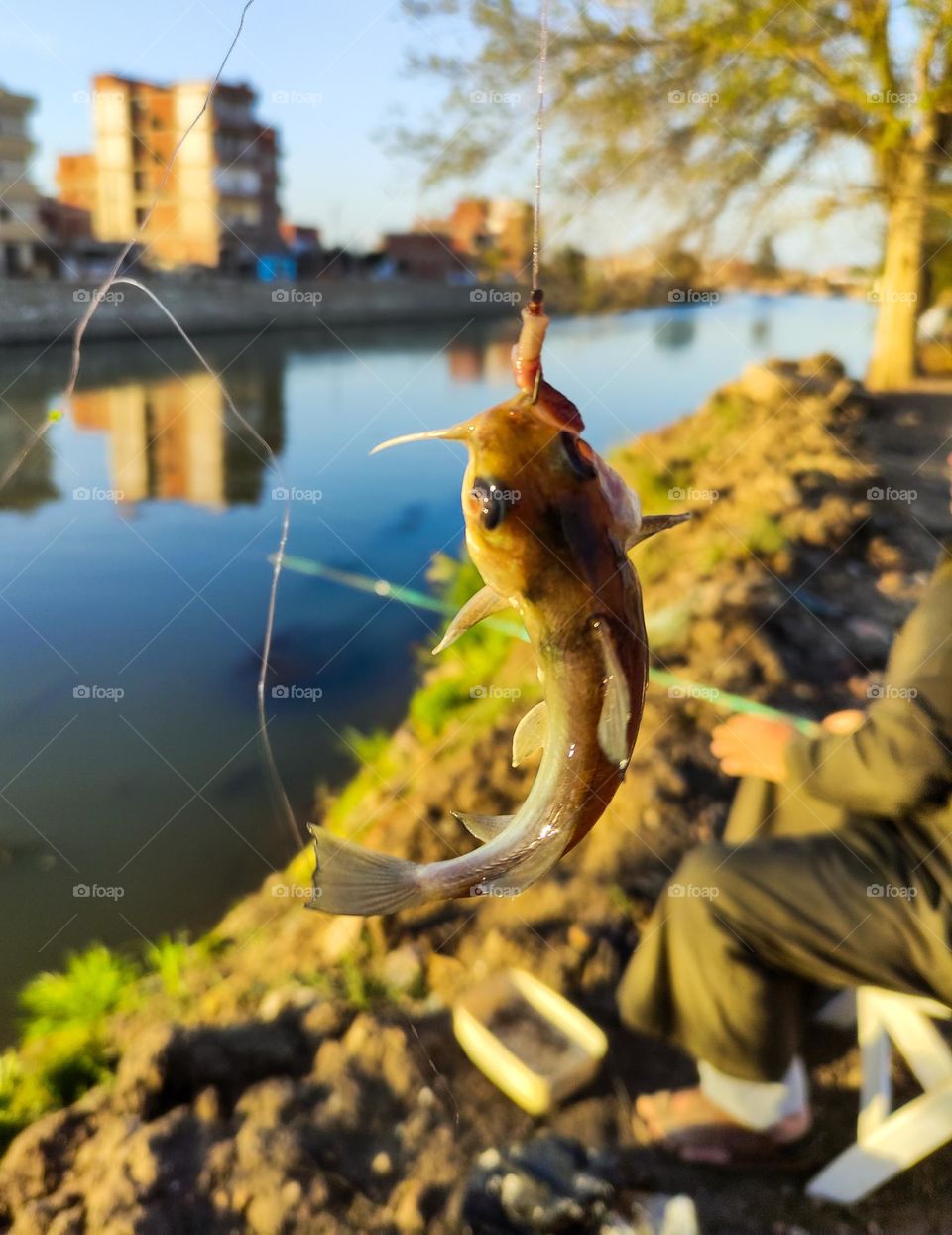 catching a dancing fish