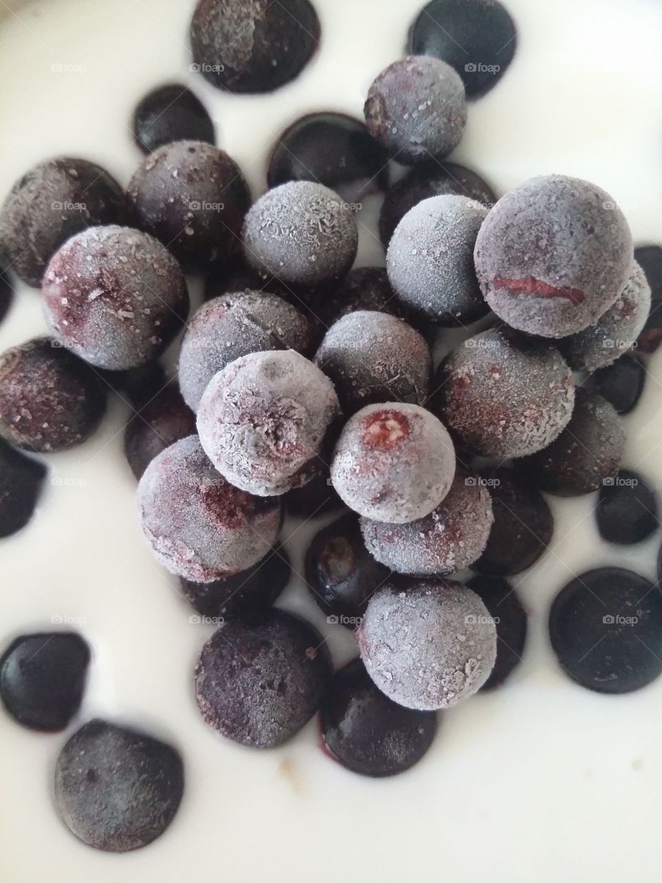 Frozen black currant