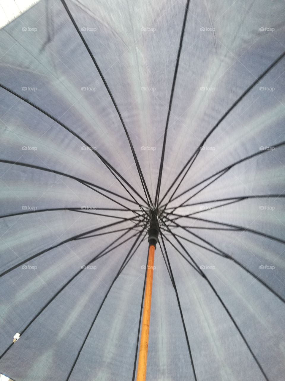 A lot of rays: an umbrella?