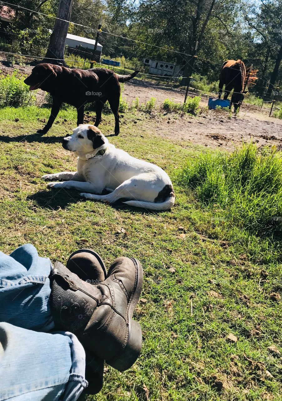 Hanging out with Gracie, Choco and Thirty Eight, the horse, on a beautiful Sunday in the woods of South Georgia. 