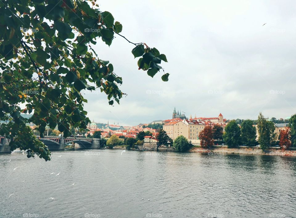 Prague