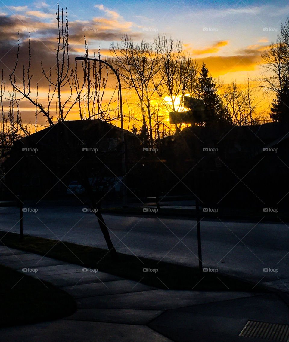 Sunrise over Suburbia 