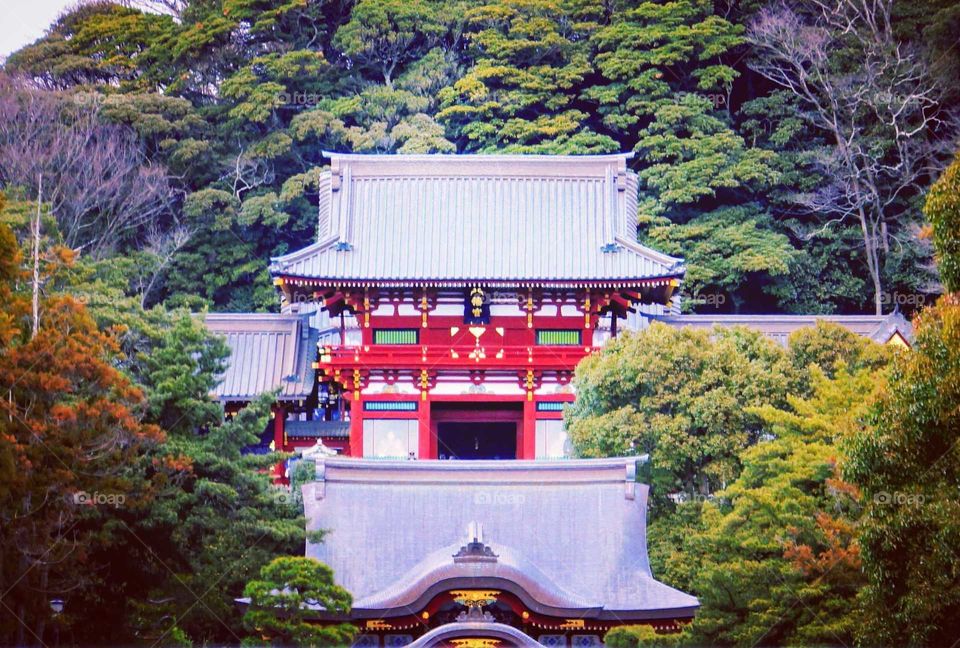 Half-day tour of Kamakura River comes to visit the Echigo Palace in Tsuruoka.
Taken on 2017/03
鎌倉 江之電的半日遊，來到鶴岡八番宮參觀。拍攝於 2017/03