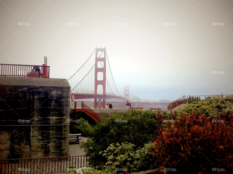 san francisco california green red colors by bmrslc