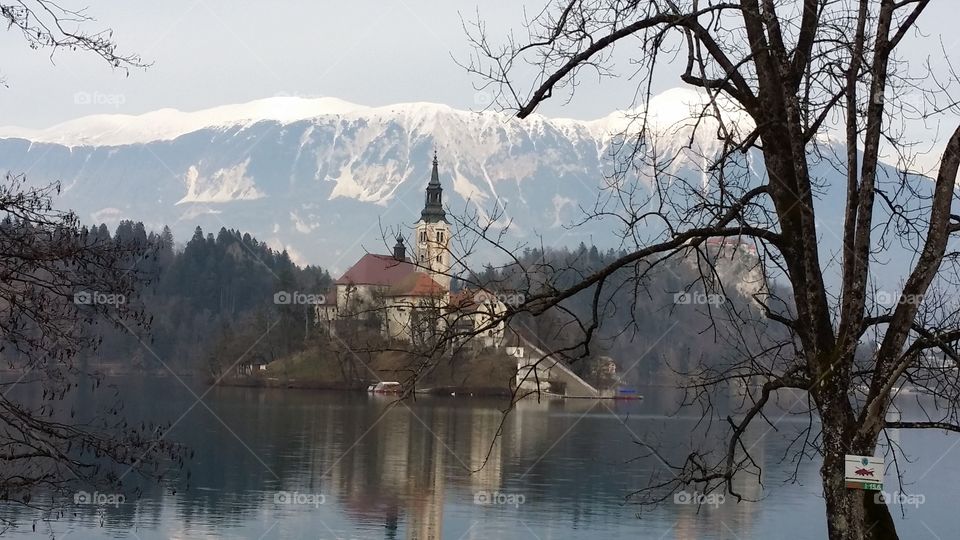 Island on lake bled