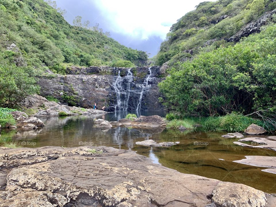 Mauritius nature