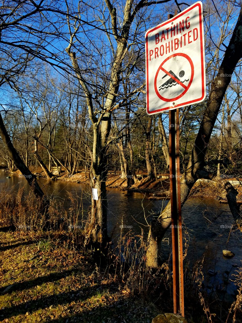 Riverside in winter.