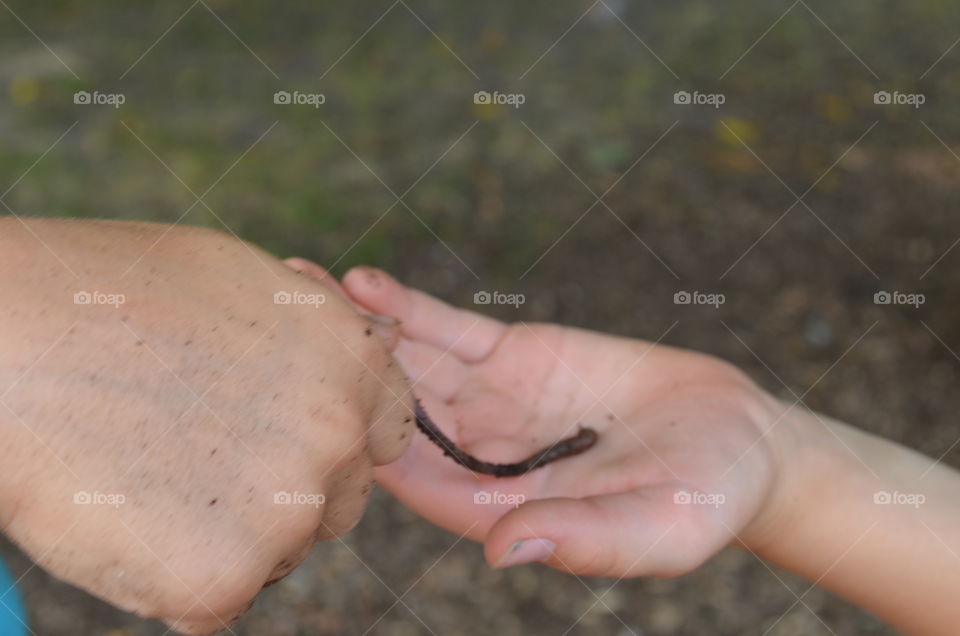 Share a Worm with a Friend Part 3