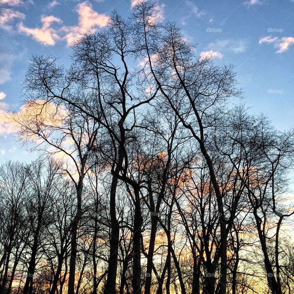 Trail running is a break from the city. 