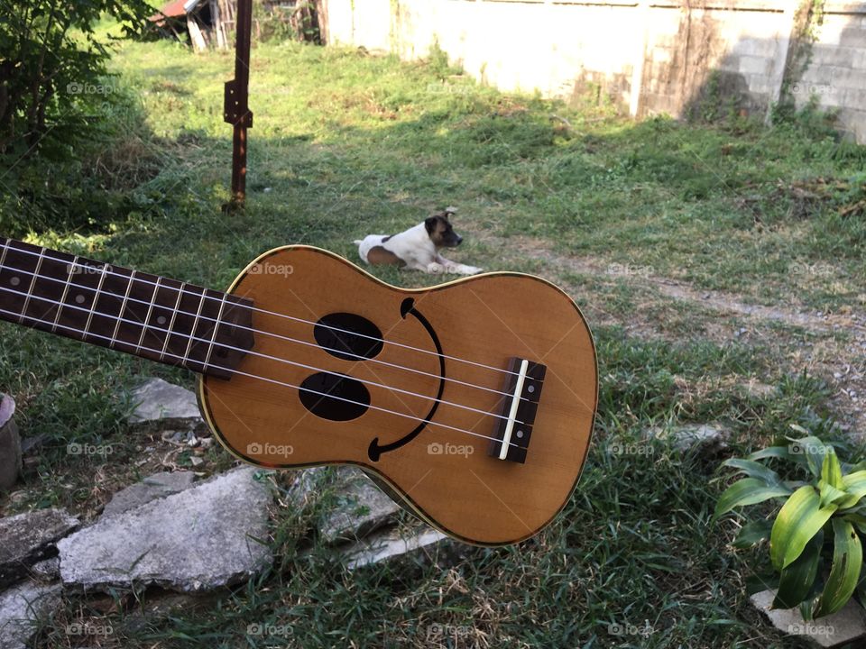 He is sitting on the ukulele