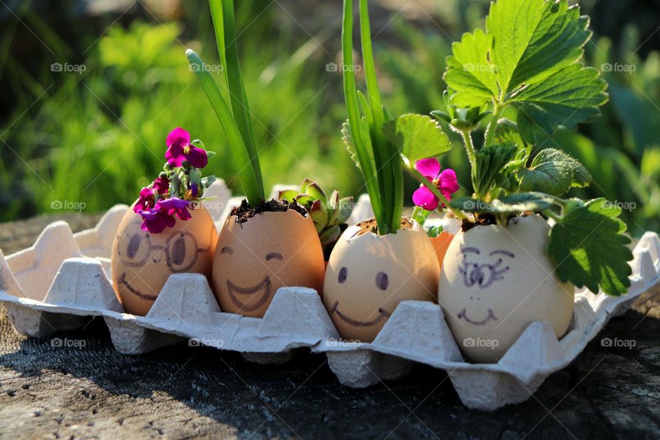 Battle: Winter vs Spring