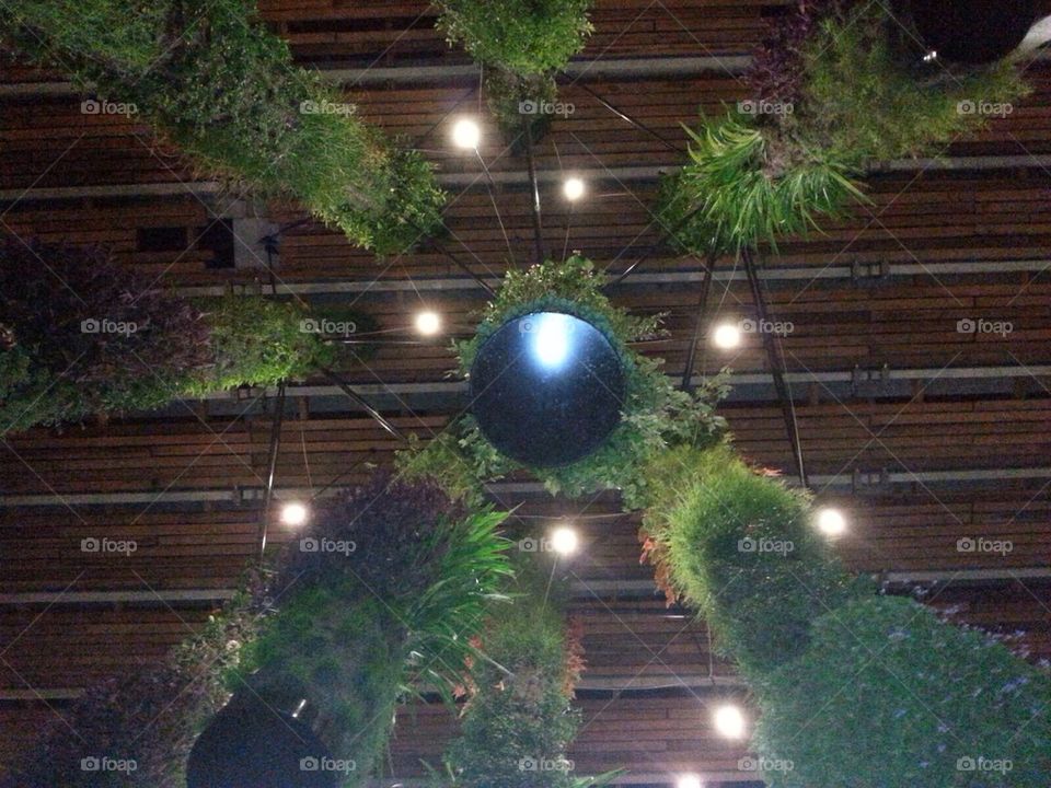 Tree falling from the sky