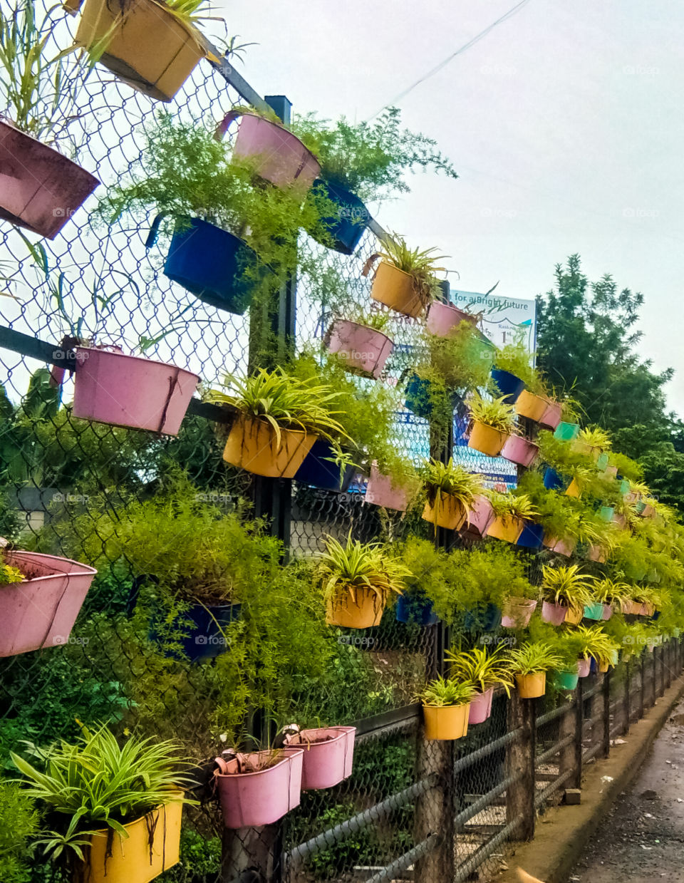 Roadside Hanging garden - The decorative attractive plants are planted in colourful, multicoloured plastic pots and hanging to wired net. looking so beautiful and attractive.