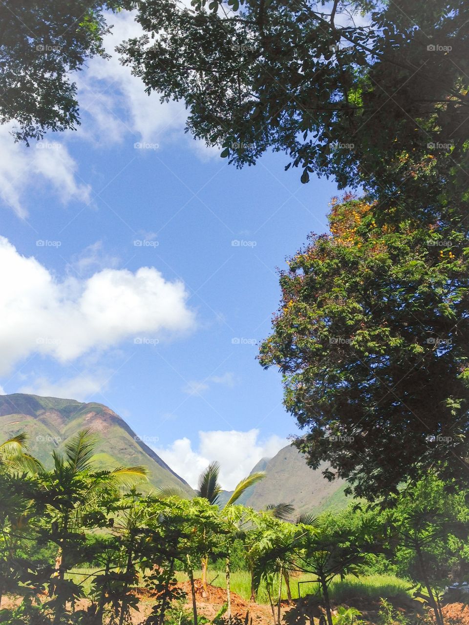 Hawaiian mountains