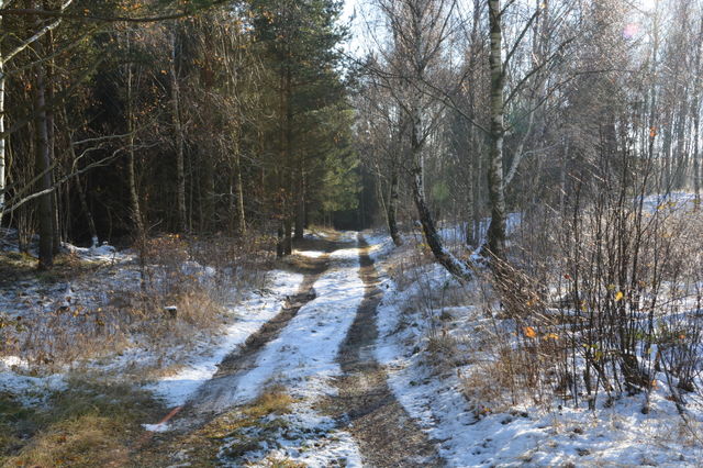 Winter in Skåne, Sweden