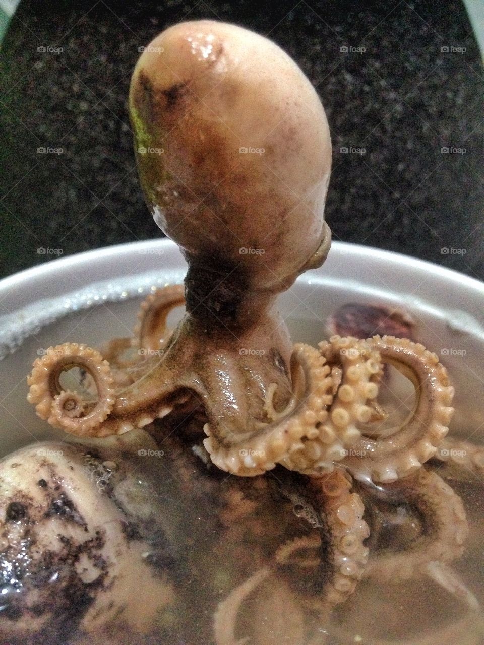 Salted octopus