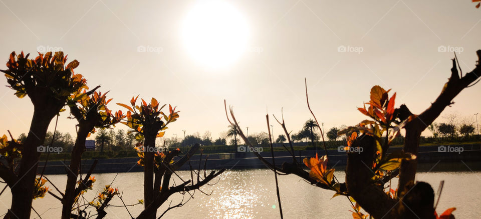 ireo waterfront, ludhiana