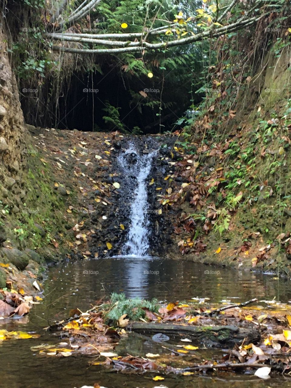 Oregon waterfall☔️