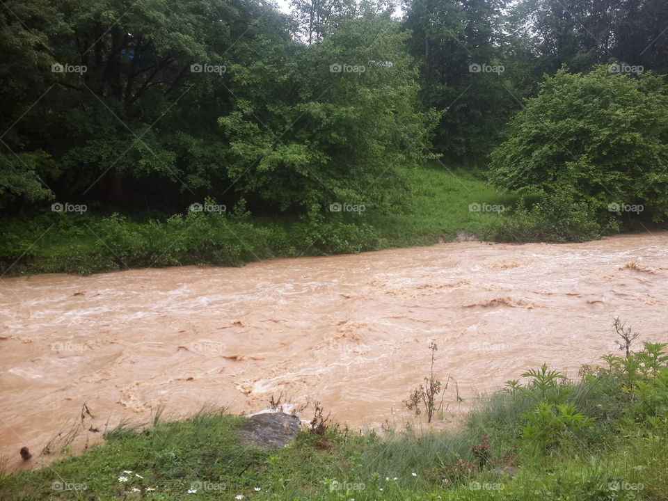 high water in a mountain river
