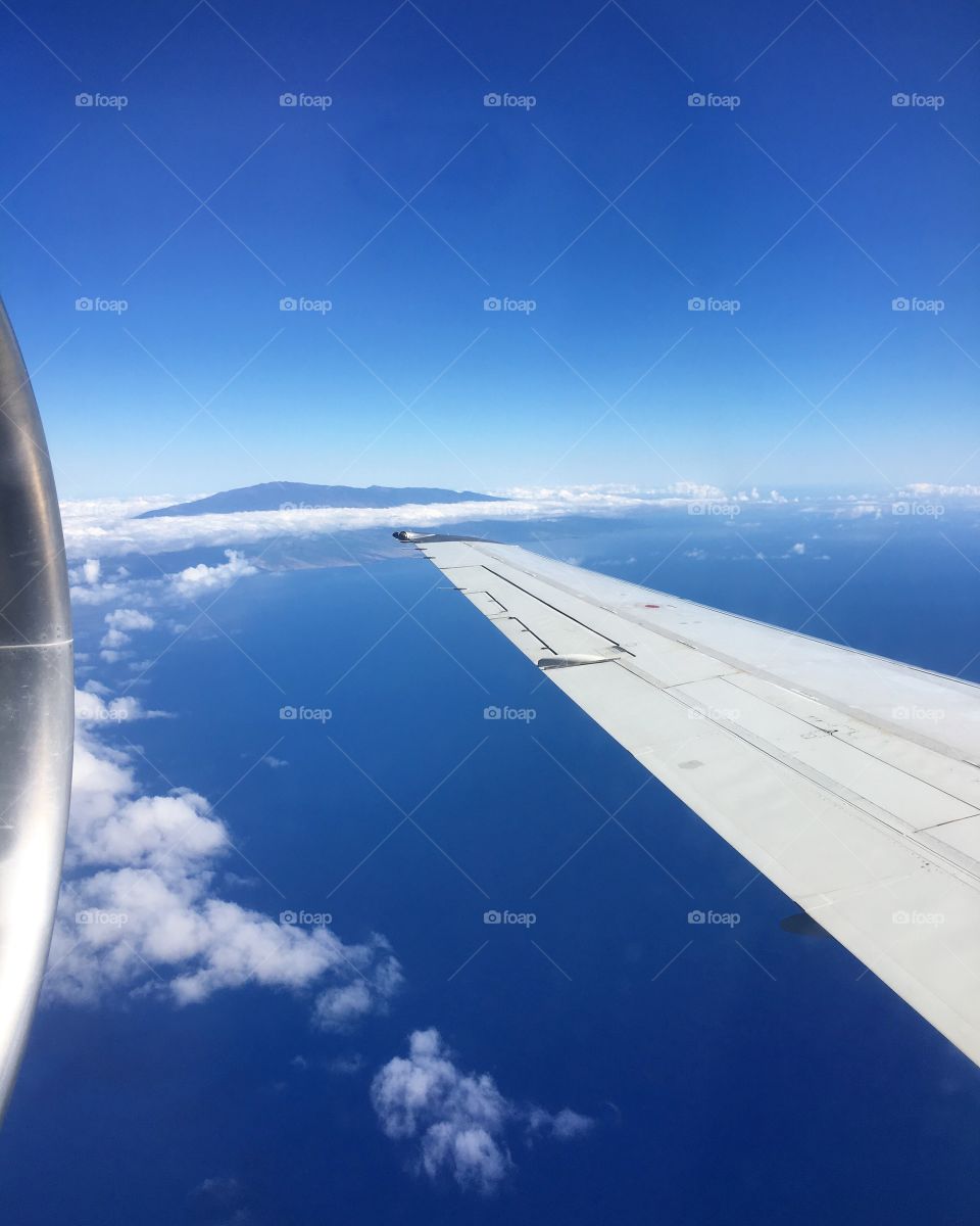 View of airplane flying above clouds