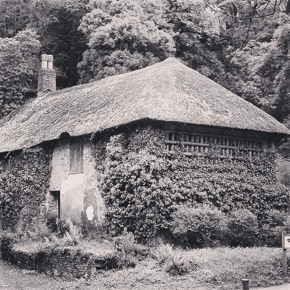 Old cottage