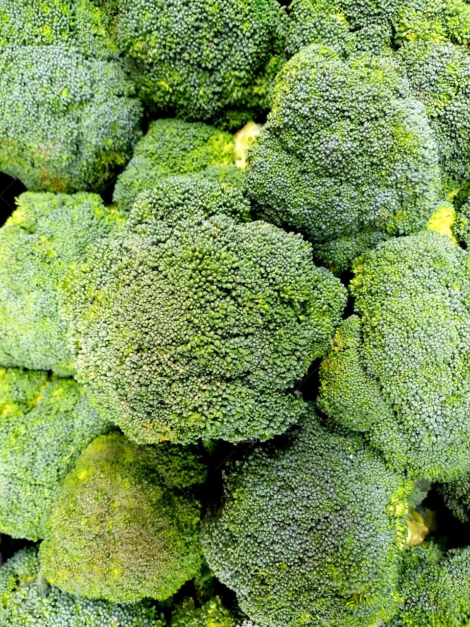 broccoli