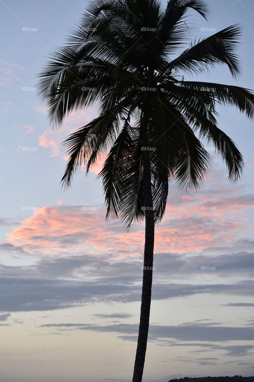Sunset in Anzoategui, Venezuela. 
