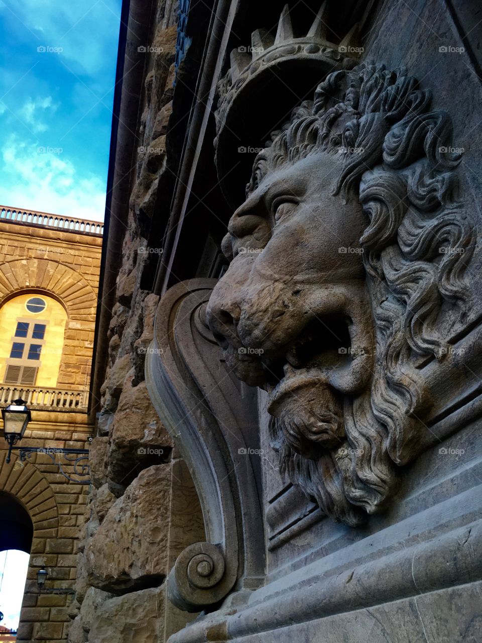 Frozen, frozen animals in the architecture. 