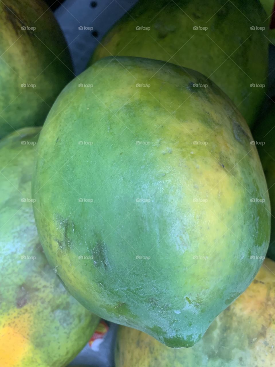 Papaya