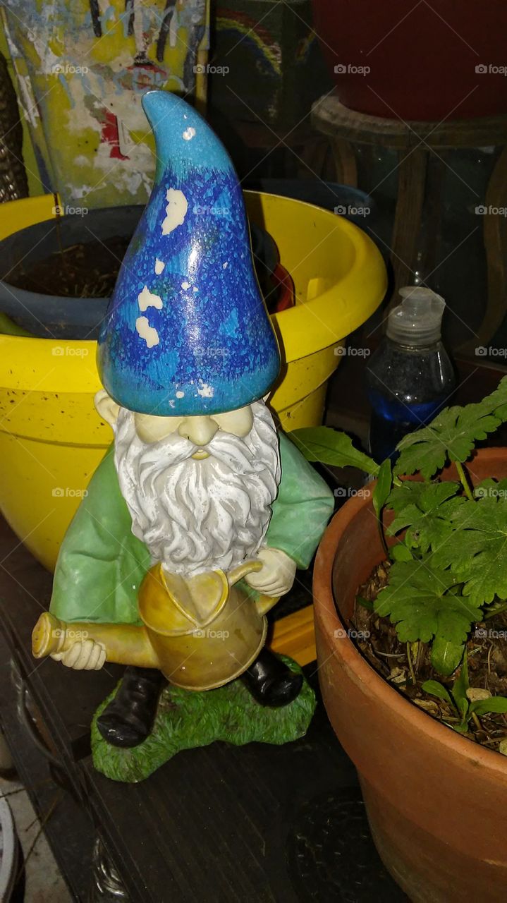 gnome ready with plants