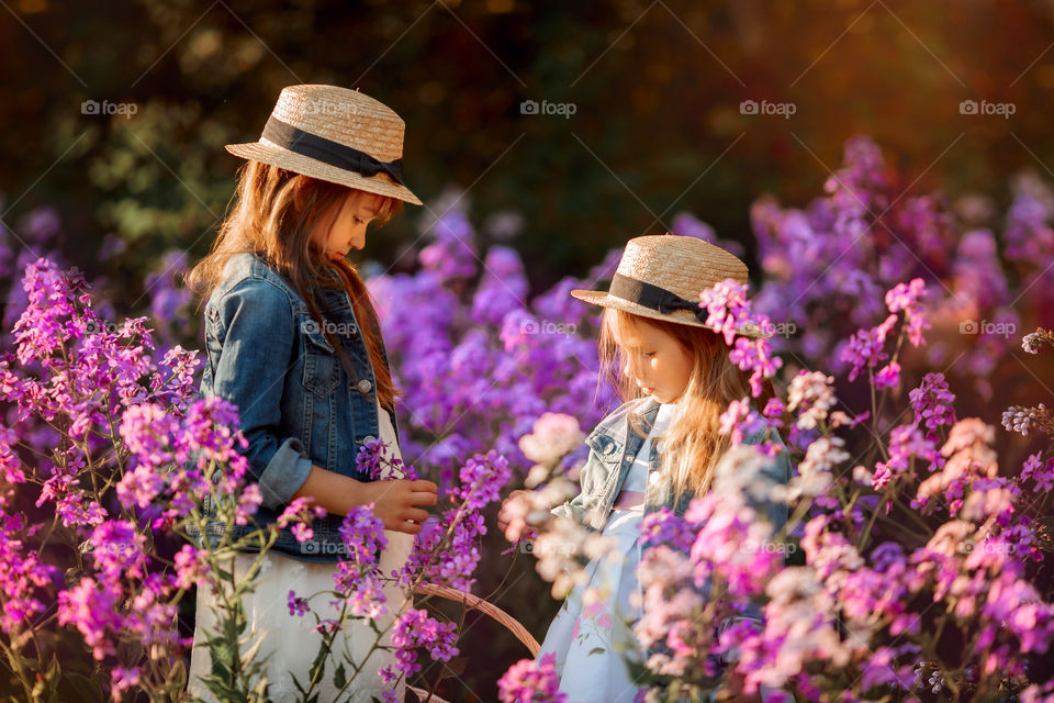 Little sisters in a blossom meadow 