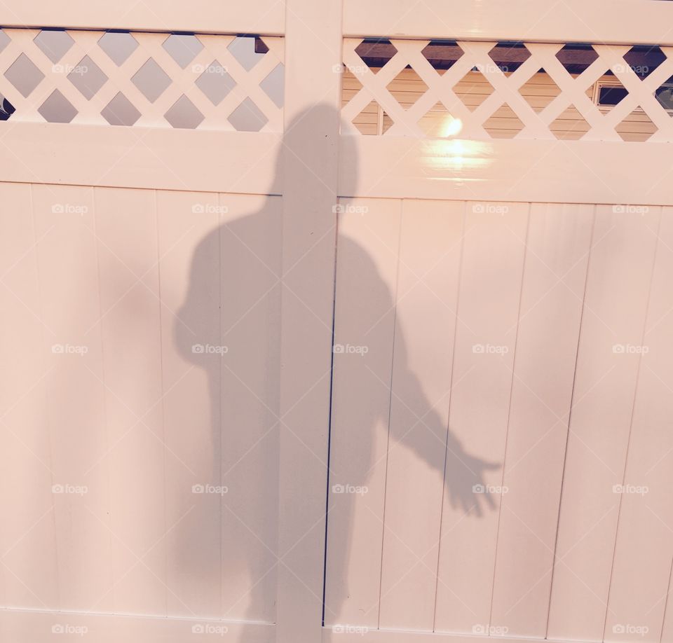 Ghostly shadows on a fence.
