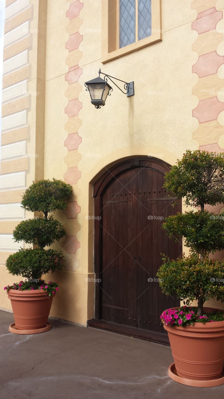 Topiary & Door