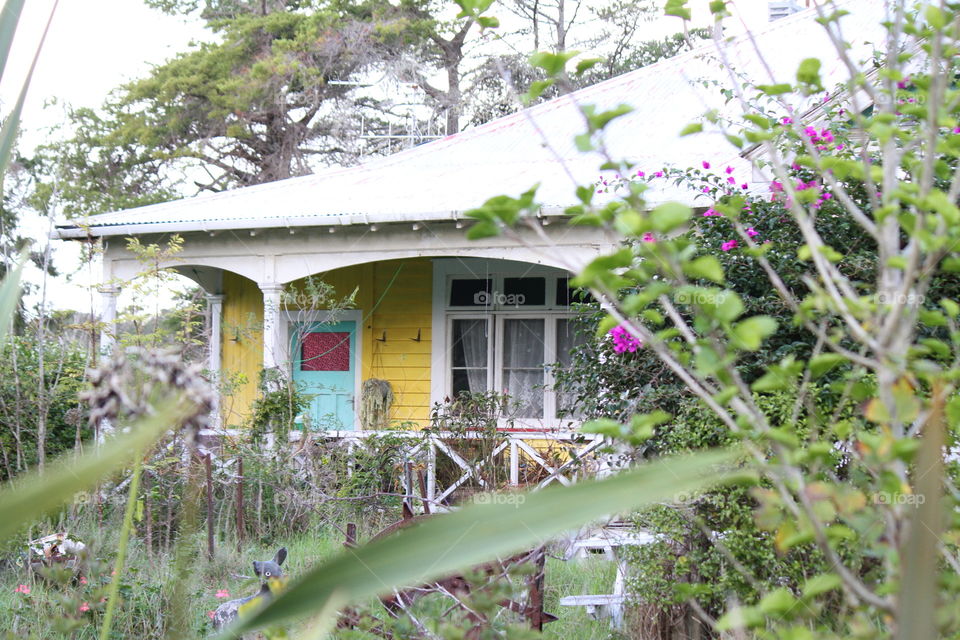 Overgrown House