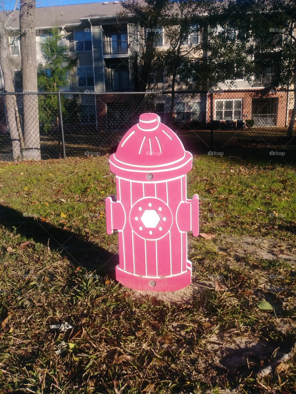dog park hydrant