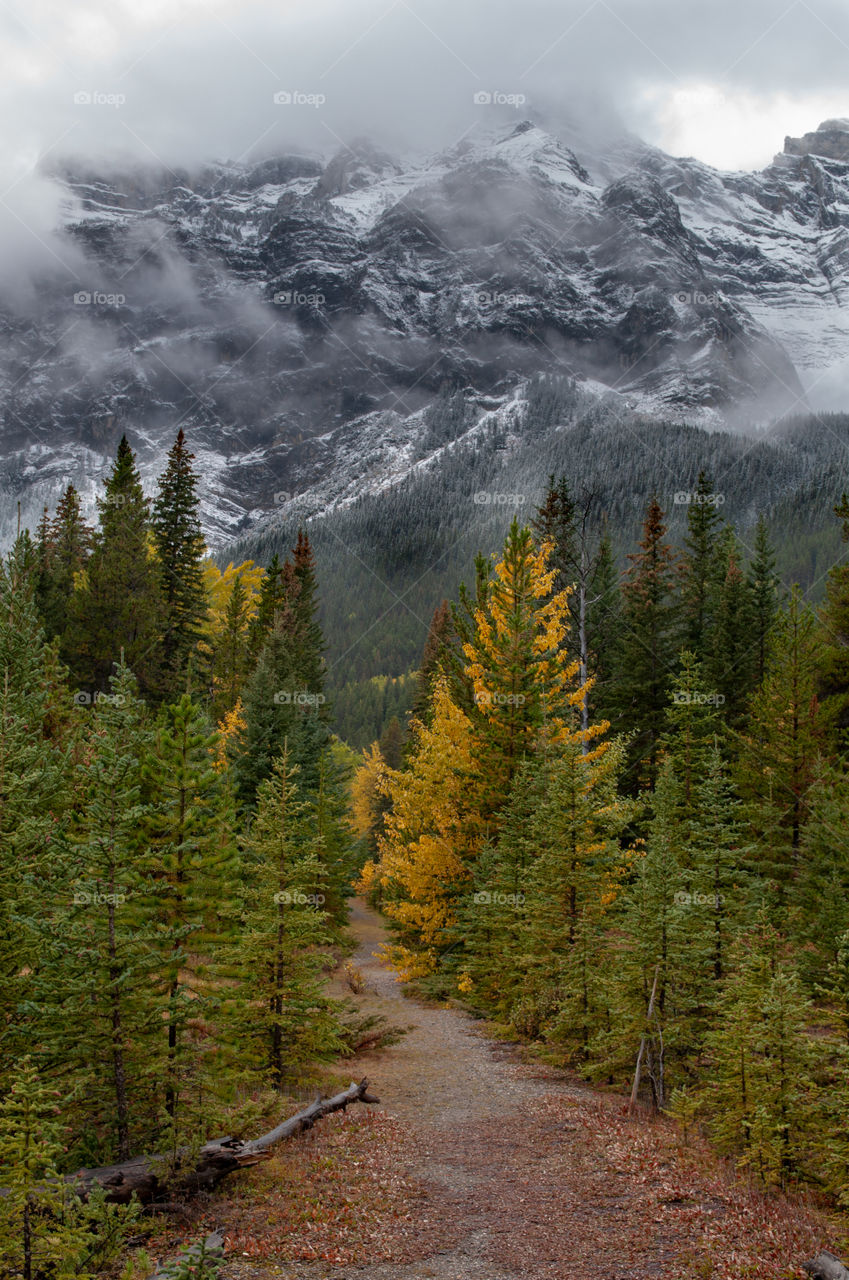 autumn scenic in a mountain route. in the Rocky mountains at Alberta, canada, Banff national park