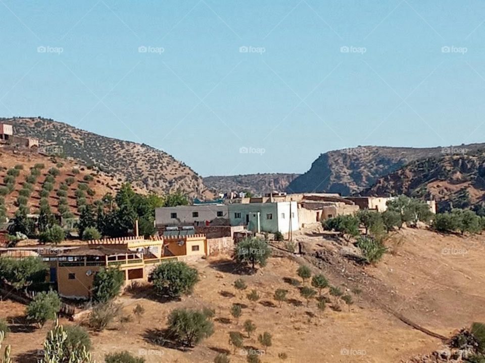 Acommunity surrounded by nature