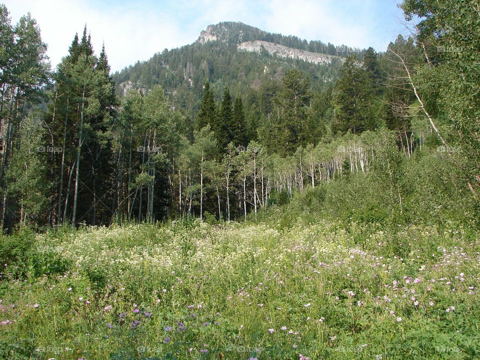 Utah mountains