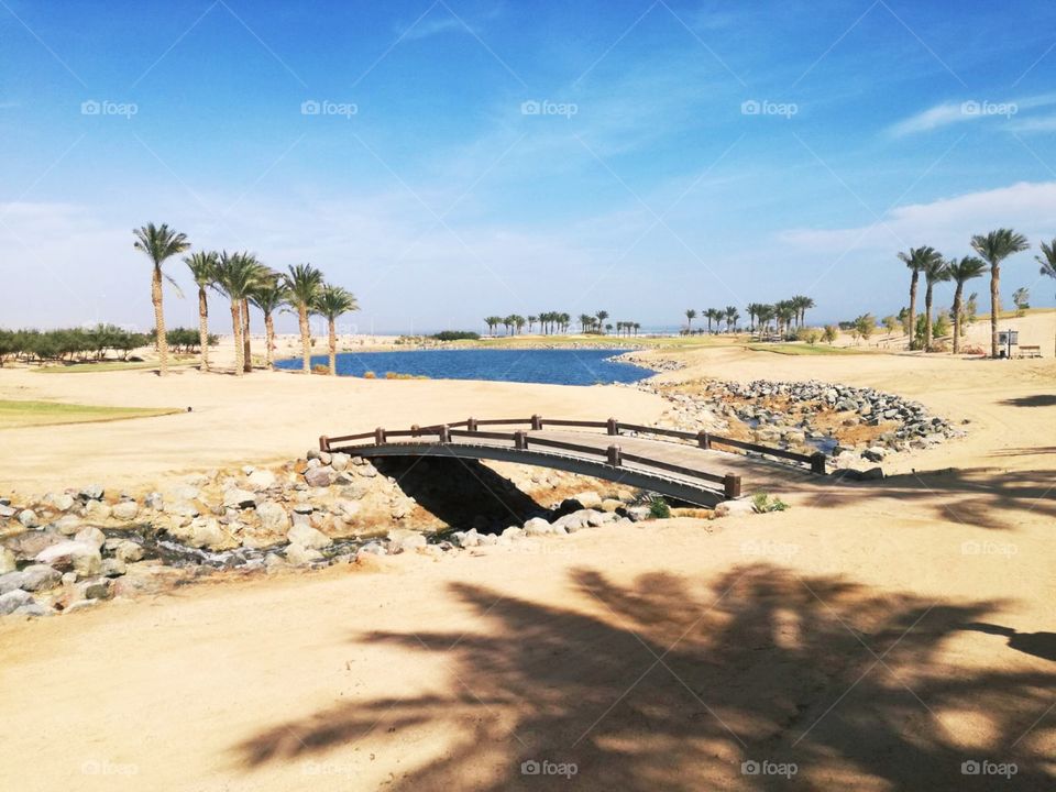 A nice small bridge over the creek on the golf course in desert. With beautiful lake and palms in background.