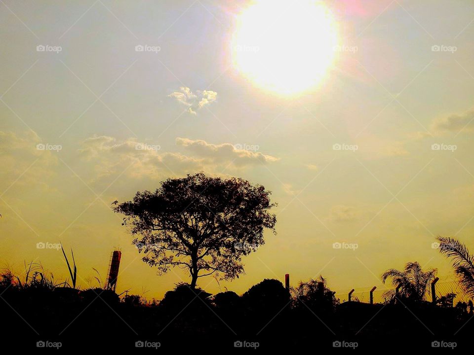 Brazilian Sky Season Series - Summer, 43°. C.