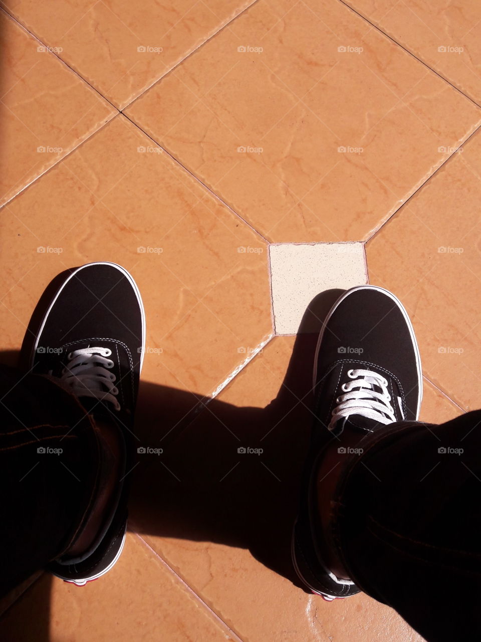 vans in the middle of the day