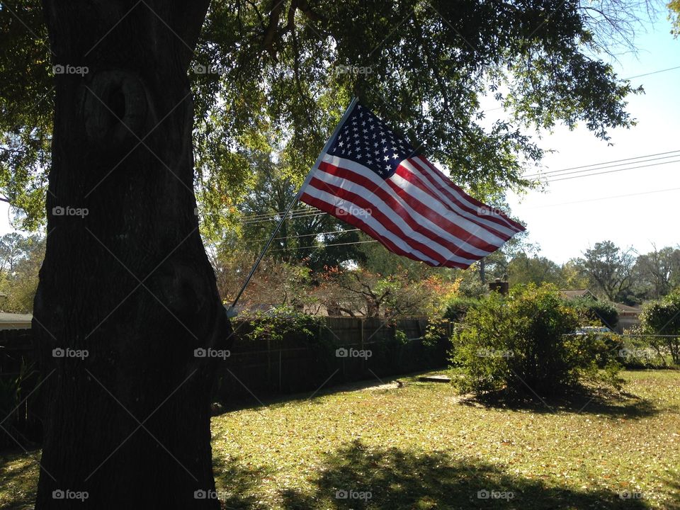 American Flag flying in my Aunt's backyard 