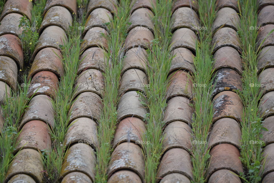 Grass and tiles