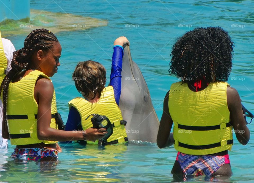 Swimming With Dolphins