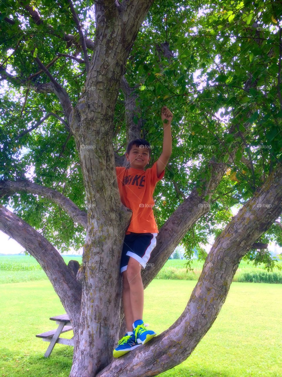 Tree boy 