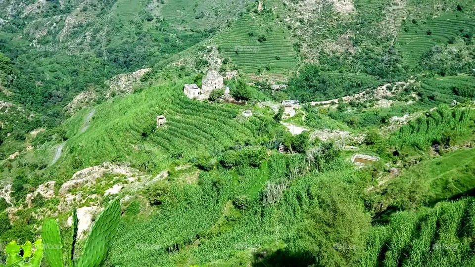 Glory be to God, the magnificent and picturesque view and the natural green trees are a view that is nothing more wonderful than it